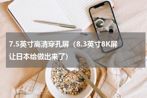 7.5英寸高清穿孔屏（8.3英寸8K屏让日本给做出来了）