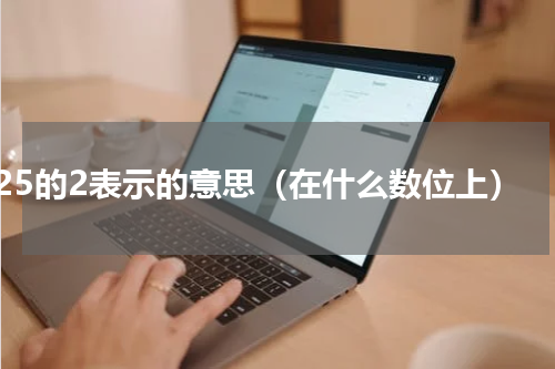 0.25的2表示的意思（在什么数位上）