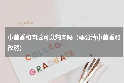 小茴香和肉蔻可以炖肉吗（要分清小茴香和孜然）