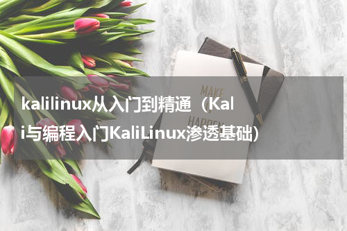 kalilinux从入门到精通（Kali与编程入门KaliLinux渗透基础）