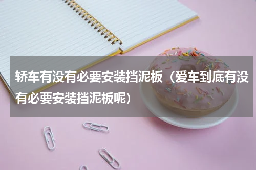 轿车有没有必要安装挡泥板（爱车到底有没有必要安装挡泥板呢）