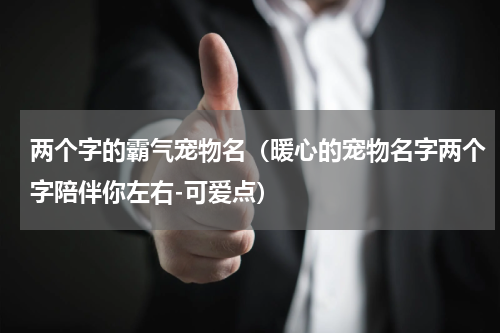 两个字的霸气宠物名（暖心的宠物名字两个字陪伴你左右-可爱点）