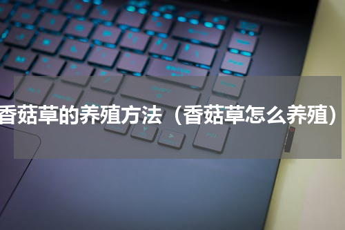 香菇草的养殖方法（香菇草怎么养殖）