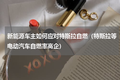 新能源车主如何应对特斯拉自燃（特斯拉等电动汽车自燃率高企）