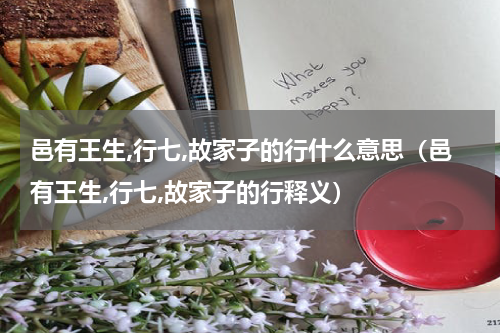 邑有王生,行七,故家子的行什么意思（邑有王生,行七,故家子的行释义）