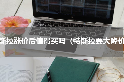 特斯拉涨价后值得买吗（特斯拉要大降价）