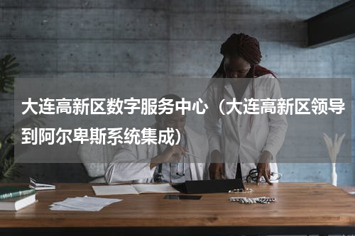 大连高新区数字服务中心（大连高新区领导到阿尔卑斯系统集成）