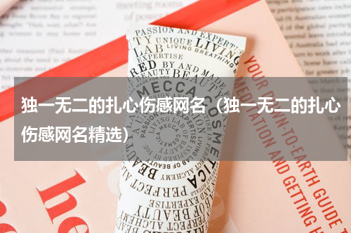 独一无二的扎心伤感网名（独一无二的扎心伤感网名精选）