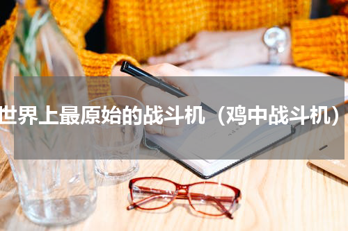 世界上最原始的战斗机（鸡中战斗机）