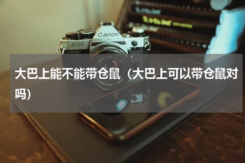 大巴上能不能带仓鼠（大巴上可以带仓鼠对吗）