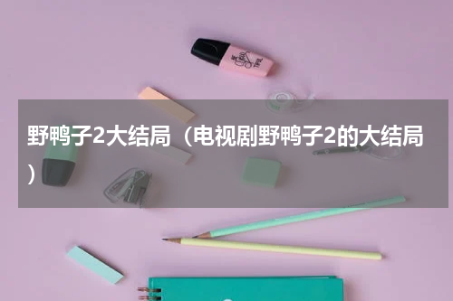 野鸭子2大结局（电视剧野鸭子2的大结局）
