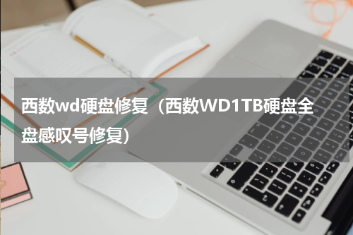 西数wd硬盘修复（西数WD1TB硬盘全盘感叹号修复）