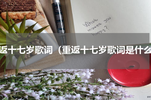重返十七岁歌词（重返十七岁歌词是什么）