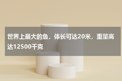 世界上最大的鱼，体长可达20米，重量高达12500千克