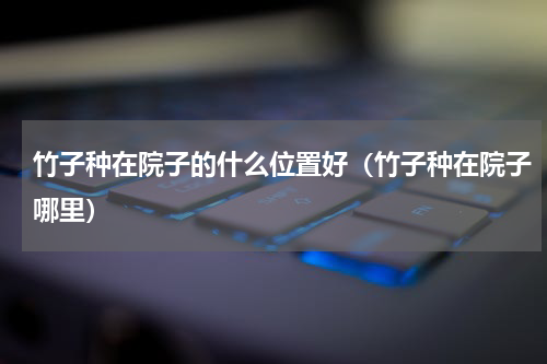 竹子种在院子的什么位置好（竹子种在院子哪里）