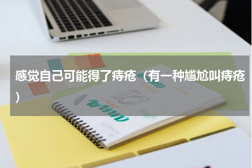 感觉自己可能得了痔疮（有一种尴尬叫痔疮）