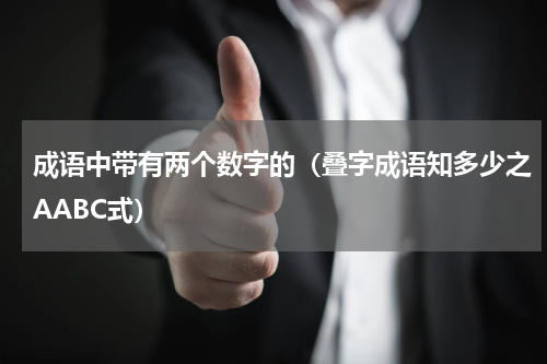 成语中带有两个数字的（叠字成语知多少之AABC式）