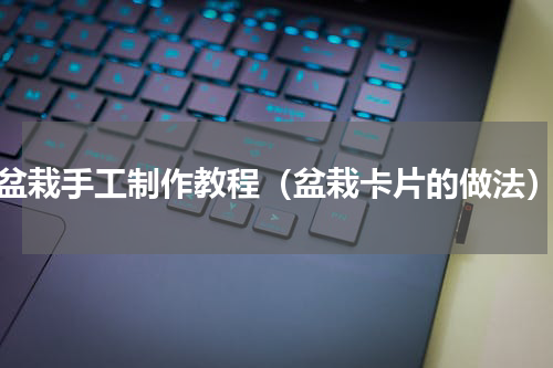 盆栽手工制作教程（盆栽卡片的做法）