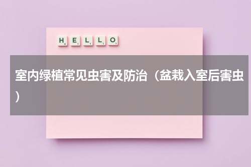 室内绿植常见虫害及防治（盆栽入室后害虫）