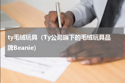 ty毛绒玩具（Ty公司旗下的毛绒玩具品牌Beanie）