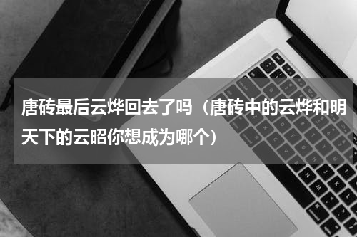 唐砖最后云烨回去了吗（唐砖中的云烨和明天下的云昭你想成为哪个）