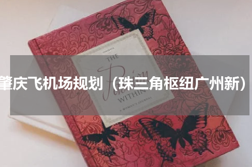 肇庆飞机场规划（珠三角枢纽广州新）