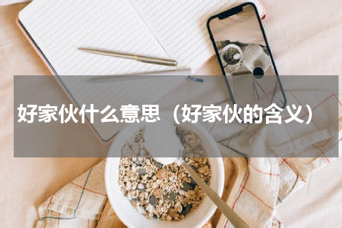 好家伙什么意思（好家伙的含义）