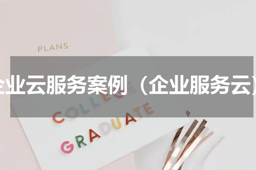 企业云服务案例（企业服务云）