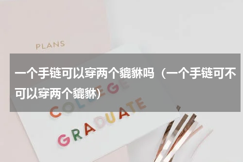 一个手链可以穿两个貔貅吗（一个手链可不可以穿两个貔貅）