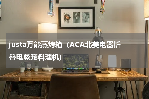 justa万能蒸烤箱（ACA北美电器折叠电蒸笼料理机）