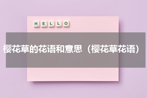 樱花草的花语和意思（樱花草花语）