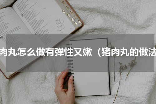 猪肉丸怎么做有弹性又嫩（猪肉丸的做法）