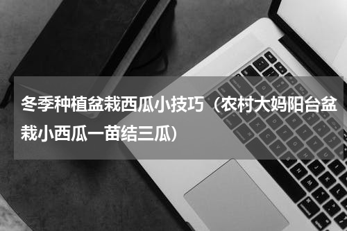 冬季种植盆栽西瓜小技巧（农村大妈阳台盆栽小西瓜一苗结三瓜）
