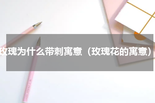 玫瑰为什么带刺寓意（玫瑰花的寓意）