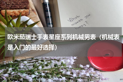 欧米茄瑞士手表星座系列机械男表（机械表是入门的最好选择）