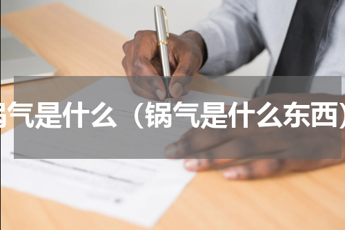 锅气是什么（锅气是什么东西）