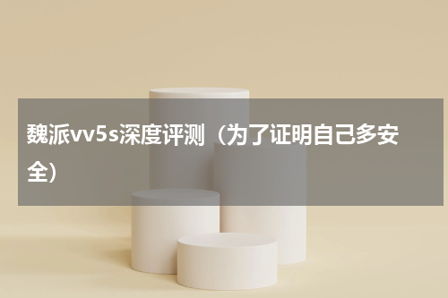 魏派vv5s深度评测（为了证明自己多安全）