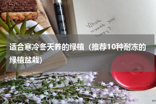 适合寒冷冬天养的绿植（推荐10种耐冻的绿植盆栽）