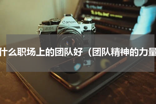 为什么职场上的团队好（团队精神的力量）