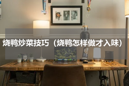 烧鸭炒菜技巧（烧鸭怎样做才入味）