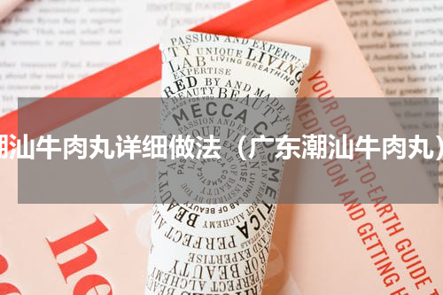 潮汕牛肉丸详细做法（广东潮汕牛肉丸）