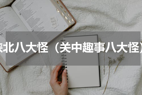 陕北八大怪（关中趣事八大怪）