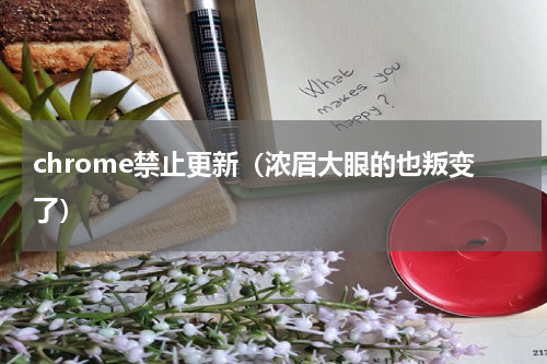 chrome禁止更新（浓眉大眼的也叛变了）