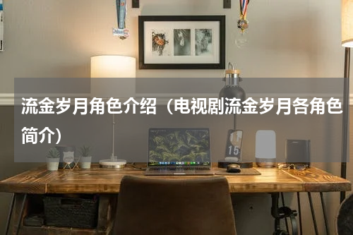 流金岁月角色介绍（电视剧流金岁月各角色简介）