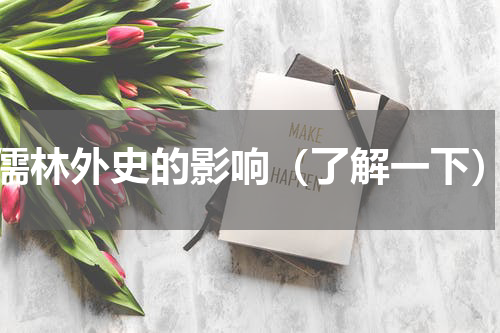 儒林外史的影响（了解一下）
