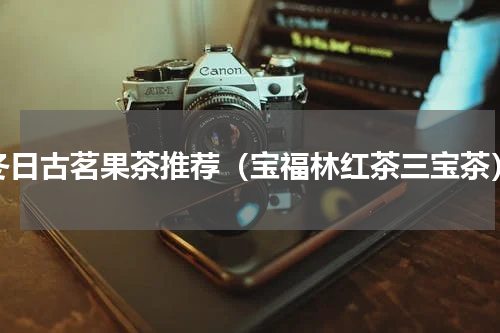 冬日古茗果茶推荐（宝福林红茶三宝茶）