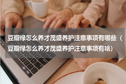 豆瓣绿怎么养才茂盛养护注意事项有哪些（豆瓣绿怎么养才茂盛养护注意事项有啥）