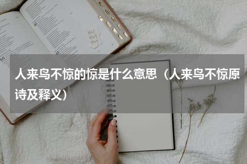 人来鸟不惊的惊是什么意思（人来鸟不惊原诗及释义）