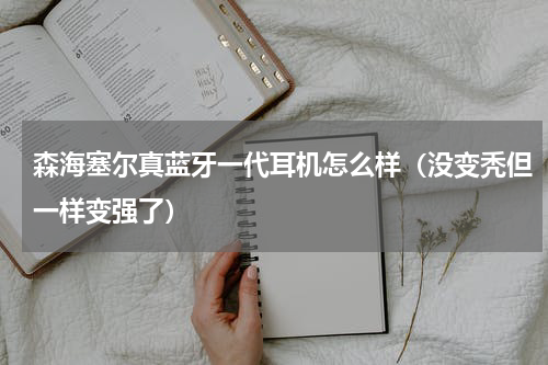 森海塞尔真蓝牙一代耳机怎么样（没变秃但一样变强了）