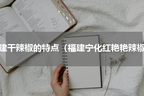 福建干辣椒的特点（福建宁化红艳艳辣椒）